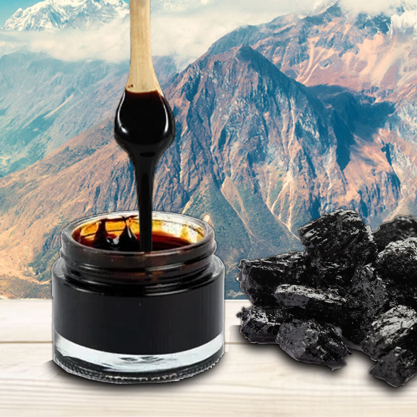 Kashmir Pure Himalayan Shalajit 20g