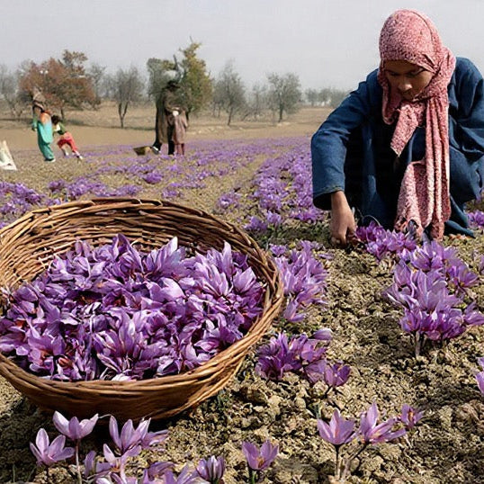 Kashmir Saffron 2gm (100% Pure)